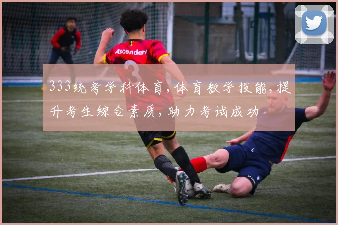 333统考学科体育,体育教学技能,提升考生综合素质,助力考试成功